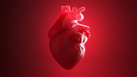 sikkim data result|Detailed data on Alnylam’s heart drug show substantial benefit, .